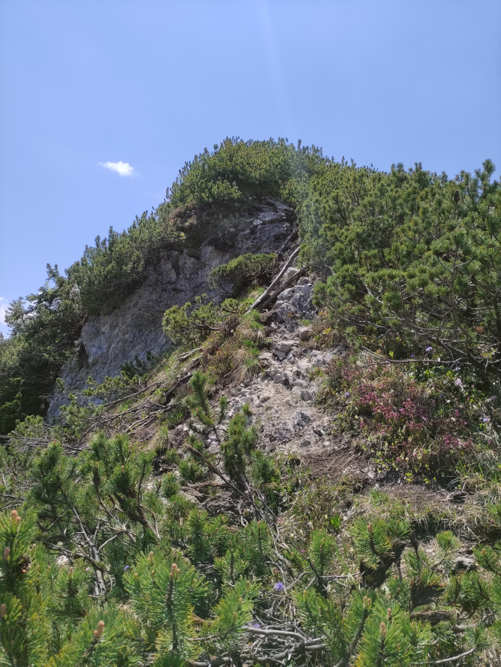 Wanderung Dürrnbachhornrunde: Eine Felsstufe, die es zu überwinden gilt