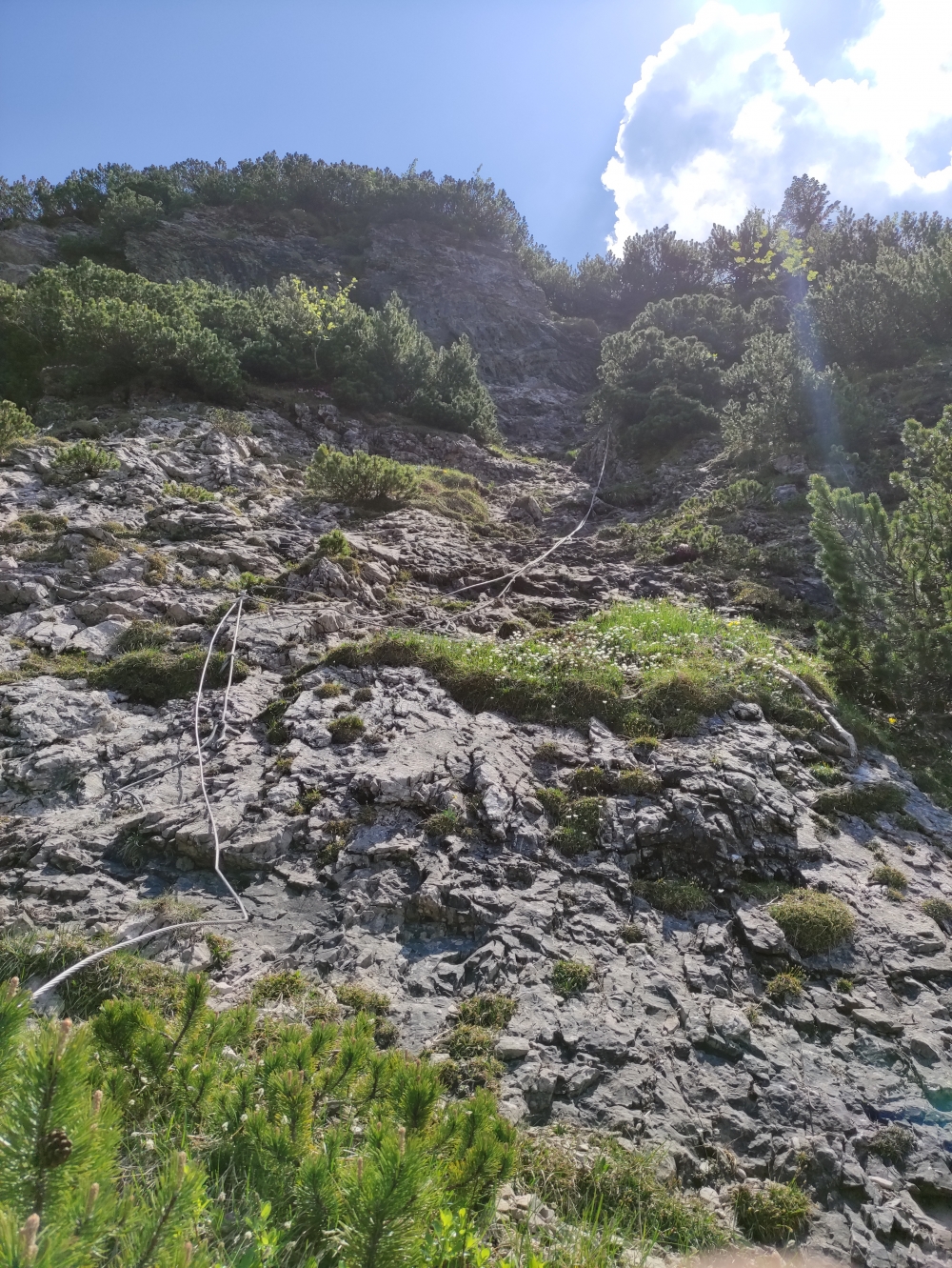 Wanderung Dürrnbachhornrunde: Mittleres Seil