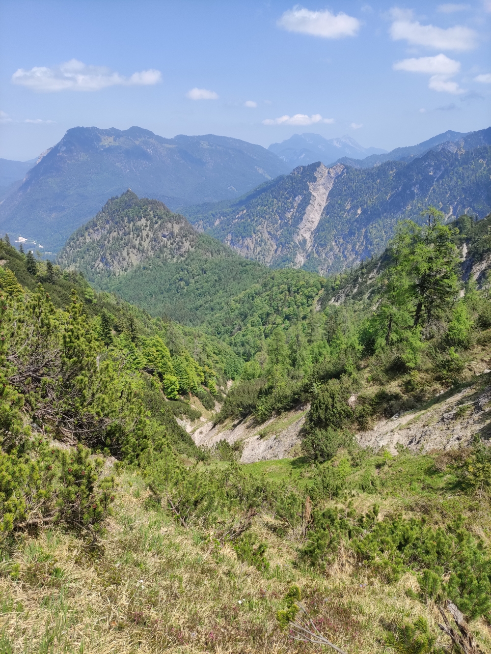 Wanderung Saurüsselkopf: Wanderung Saurüsselkopf: Hier könnte man Richtung Laubau abzweigen. Blick auf Saurüsselkopf und Adlerköpfe