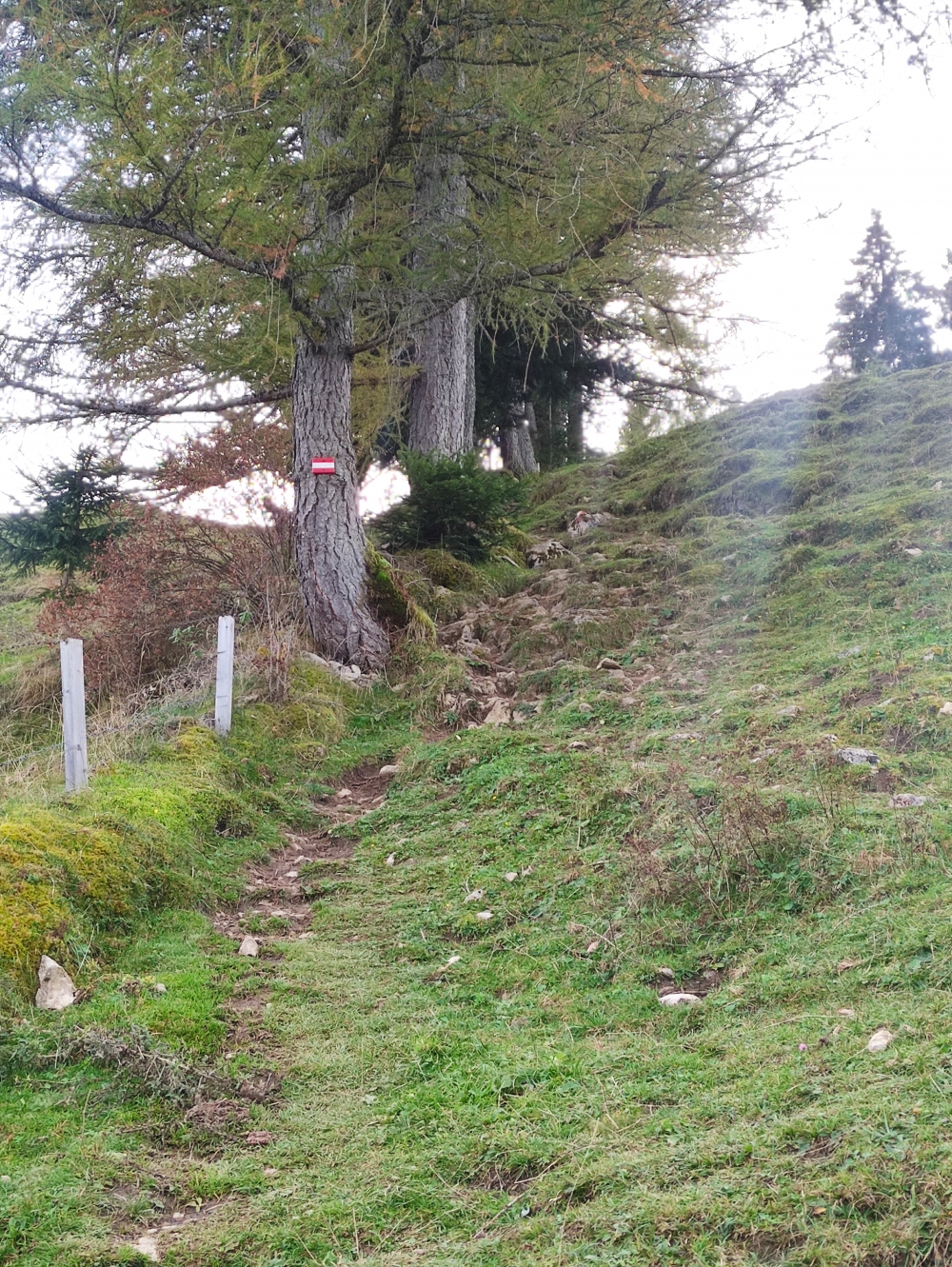 Wanderung Ebersberg: Aufstieg zum Gipfelplateau