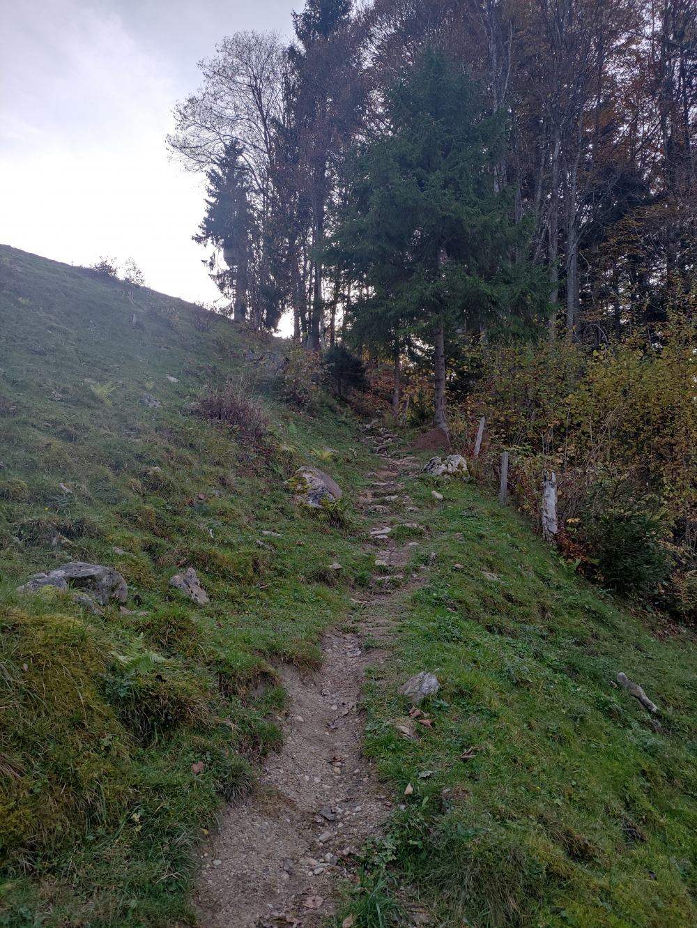Wanderung Ebersberg: Steig