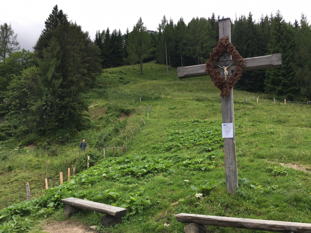 Klettersteig Hoher Göll: Klettersteig Hoher Göll: Kreuz am Eckersattel