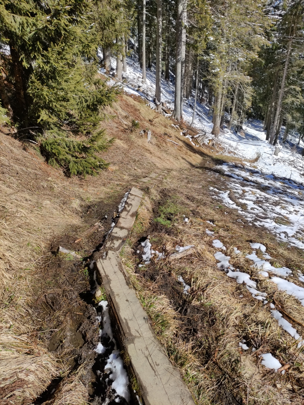 Wanderung Edelsberg: Bohlen