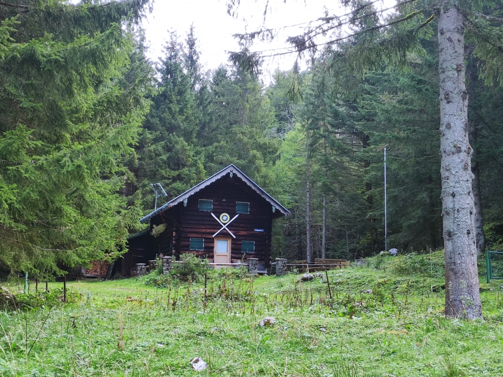 Edelweiß-Hütte: Edelweiß 
