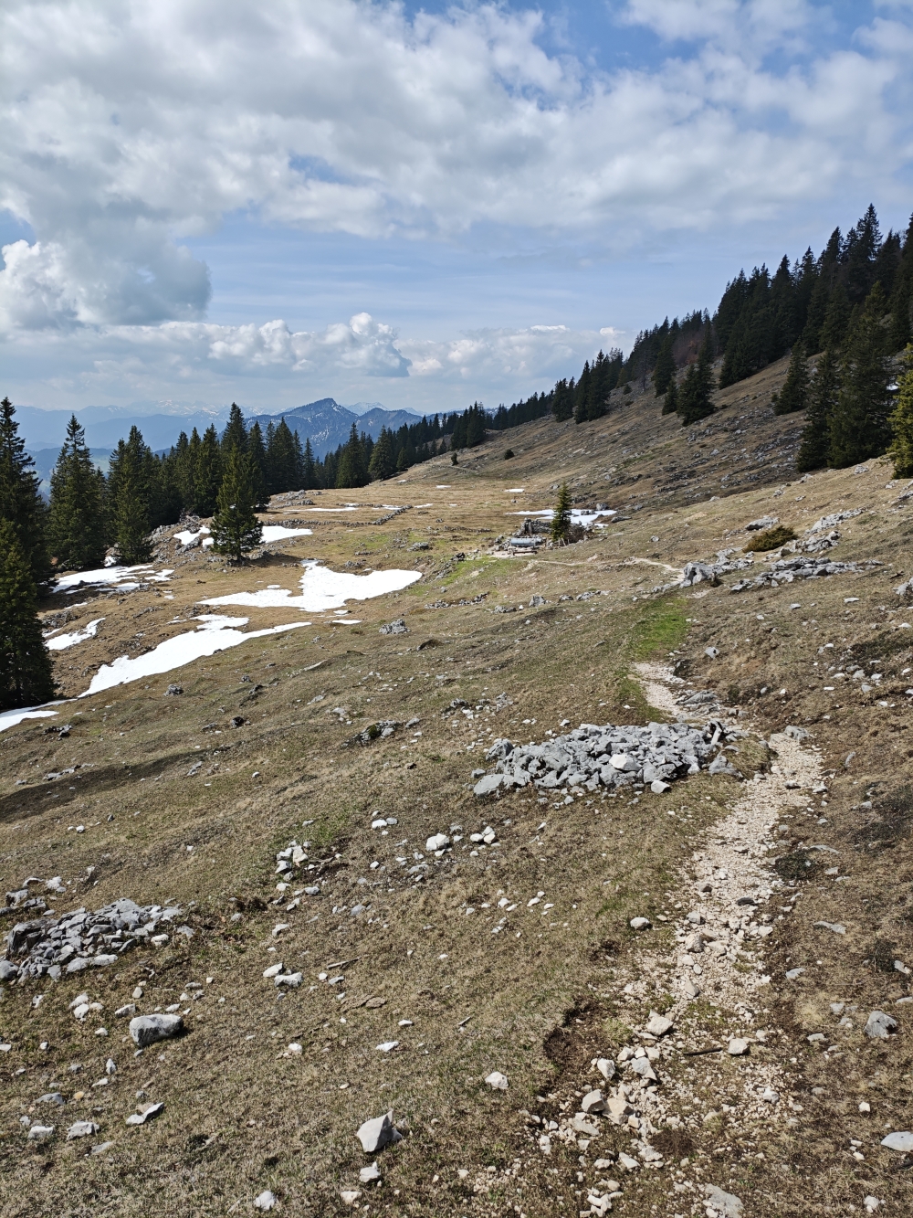 Ehem. Hofbauern Hochalm -> Hofbauernalm: Grundmauern der ehemaligen Alm