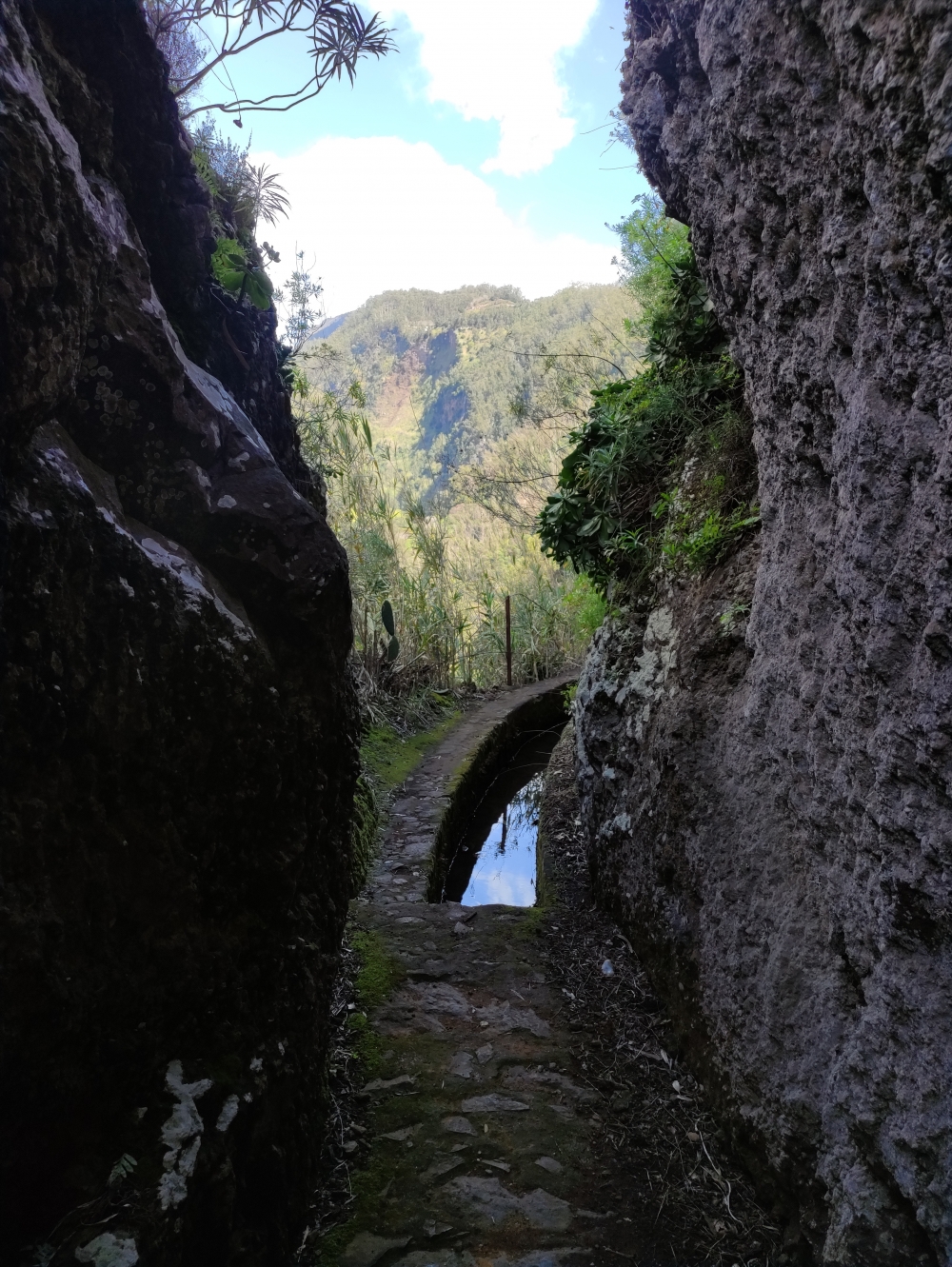 Wanderung Eira do Serrado: Der Weg bis zum Wasserfall ist noch gut begehbar