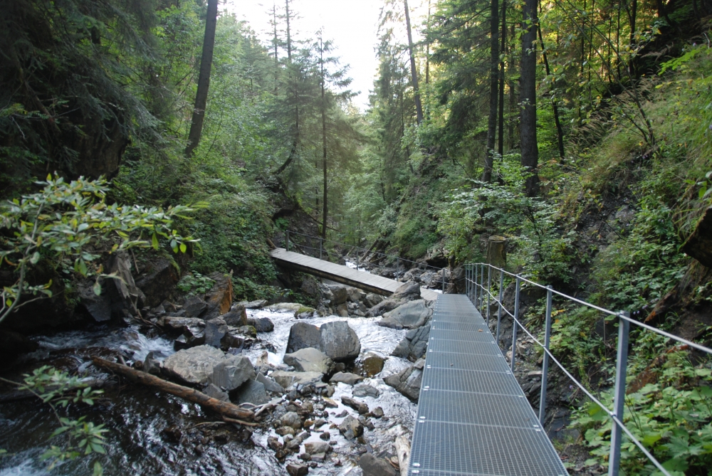 Wanderung Entschenkopf: Gaisalptobelweg