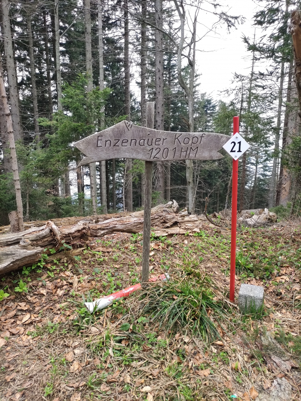 Enzenauer Kopf: Am Gipfel