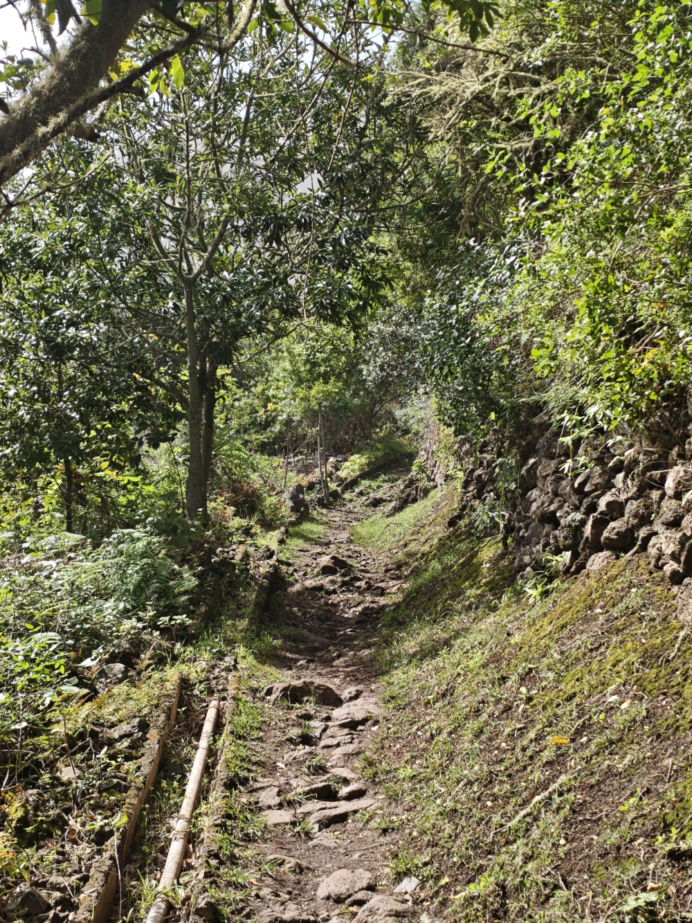 Wanderung Cuevas Negras und Monte del Agua: Aufstieg 