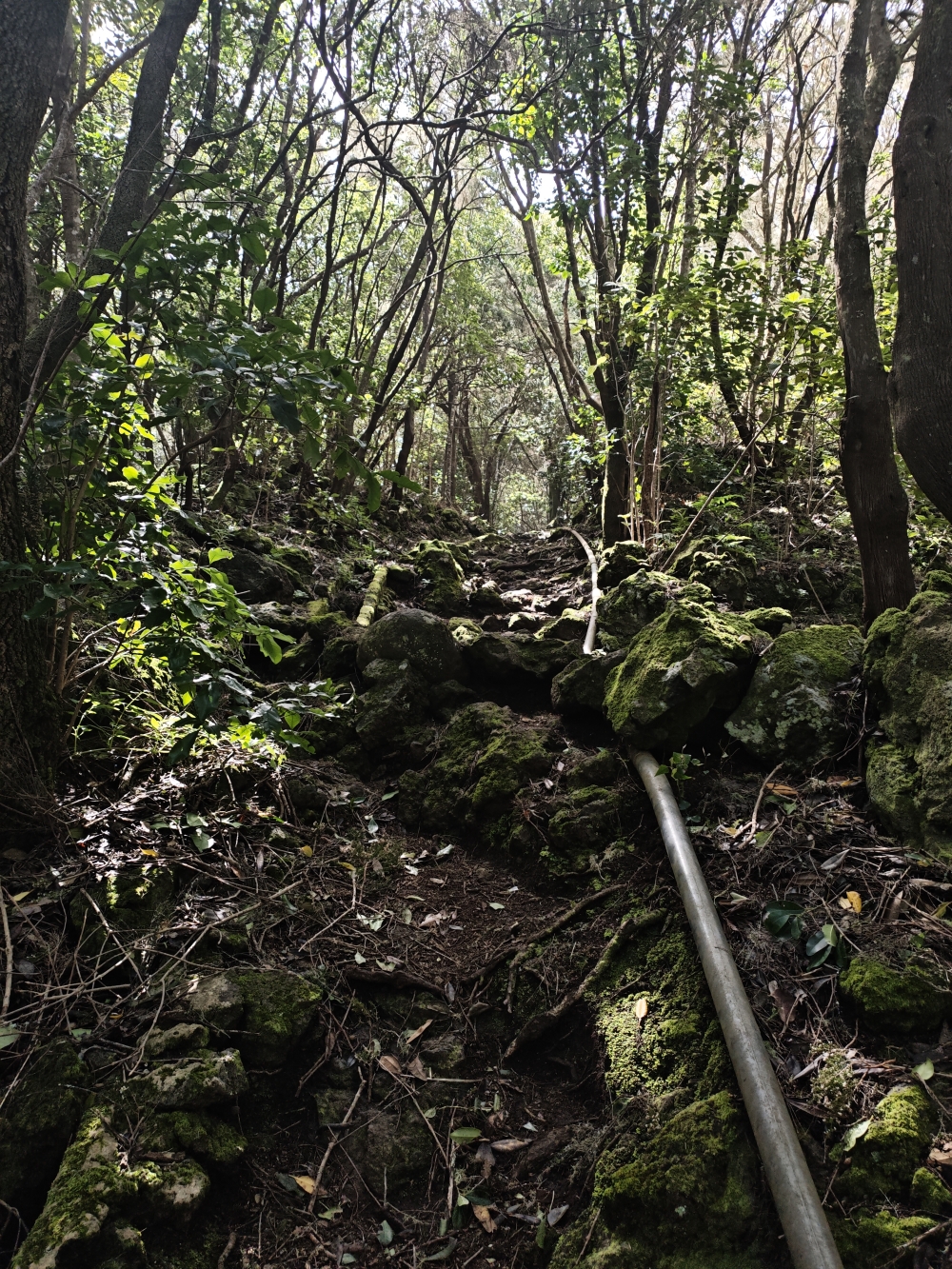 Wanderung Cuevas Negras und Monte del Agua: Aufstieg 