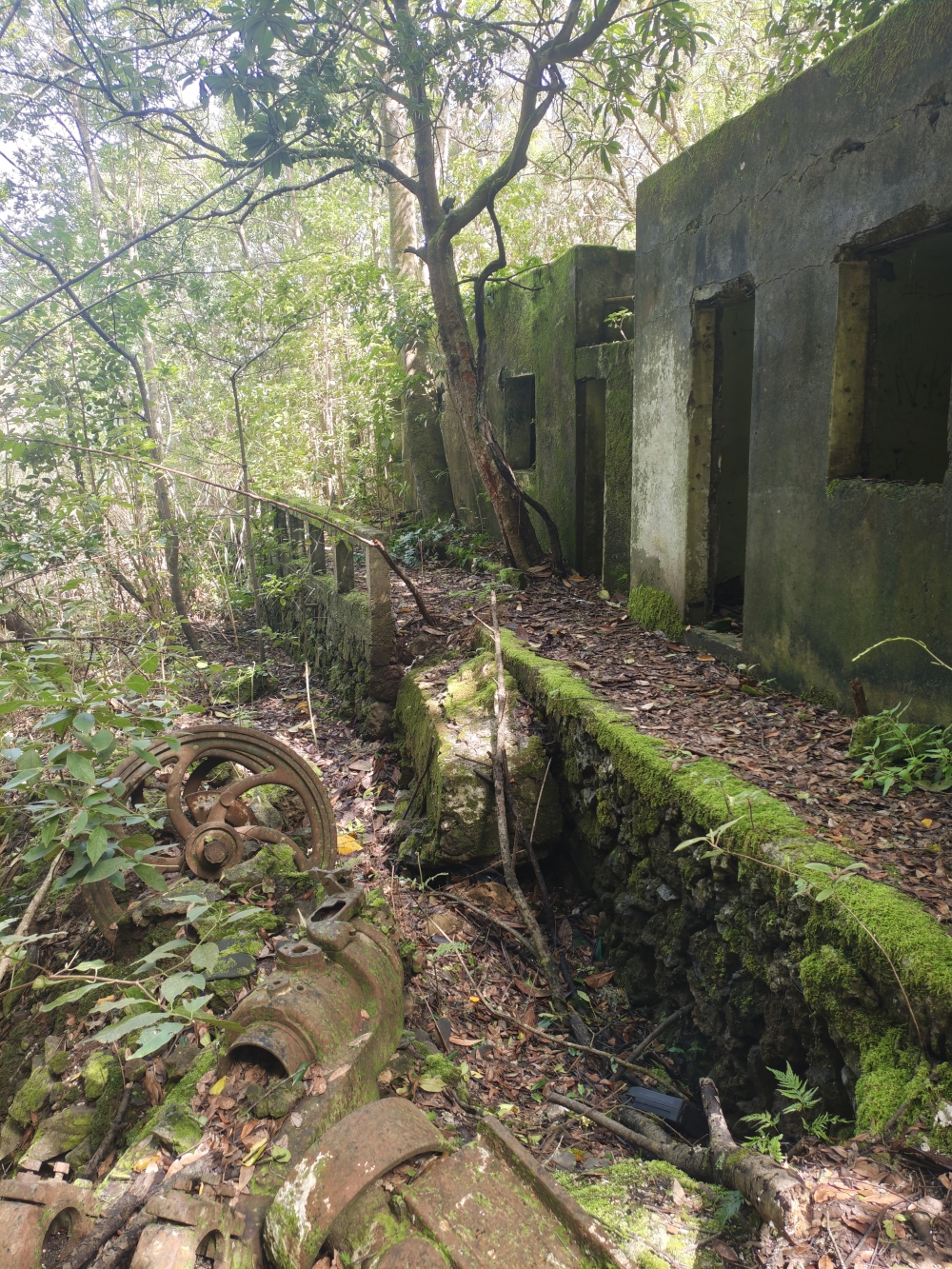 Wanderung Cuevas Negras und Monte del Agua: Ruinen eines Bergwerks
