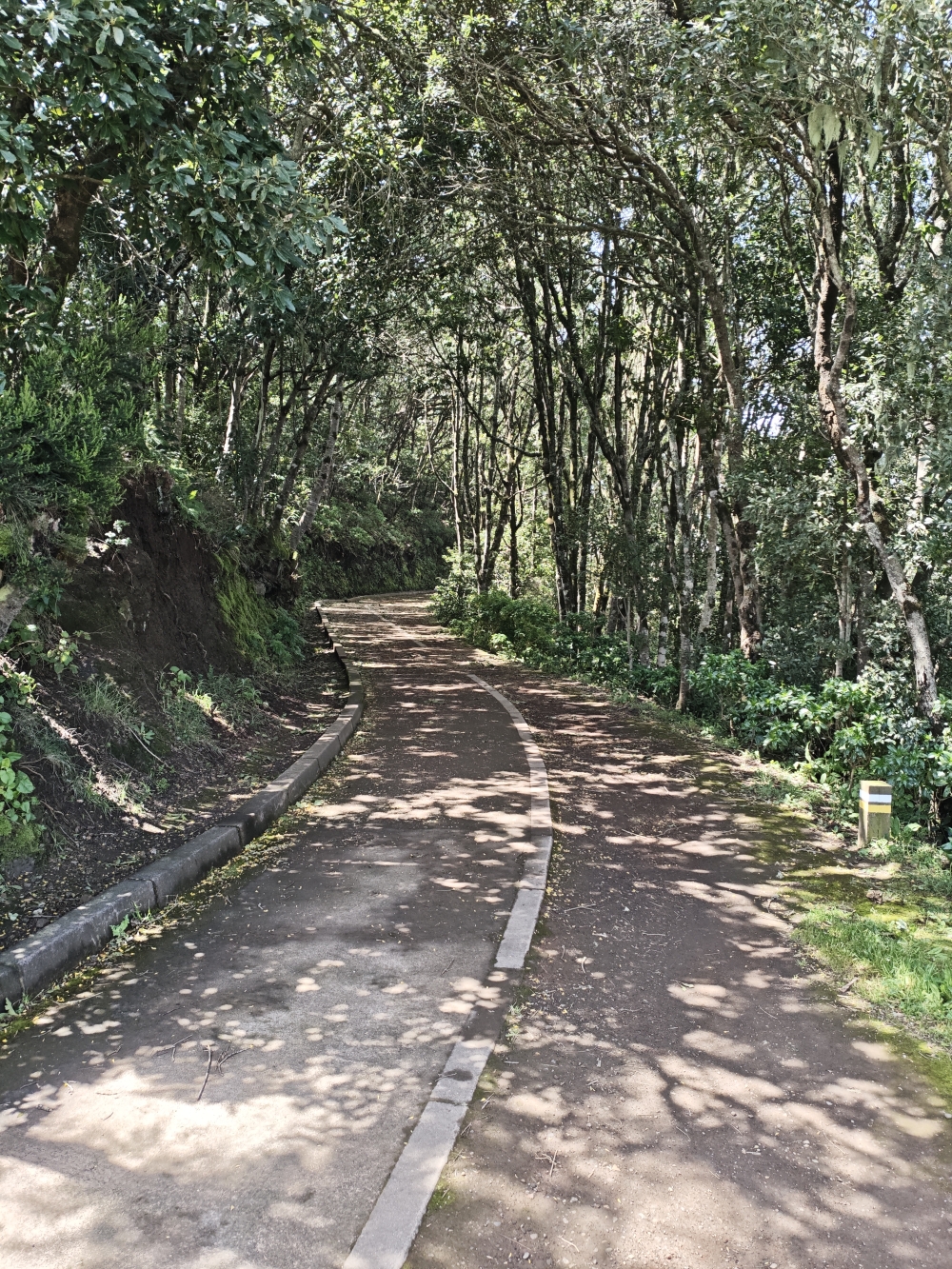 Wanderung Cuevas Negras und Monte del Agua: Die breite Pista Monta del Agua