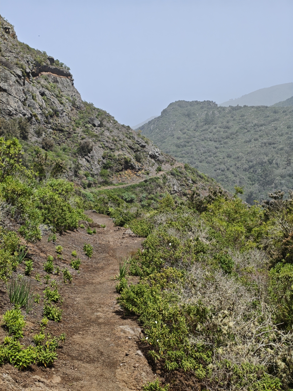 Wanderung Cuevas Negras und Monte del Agua: Sonniger Abstieg