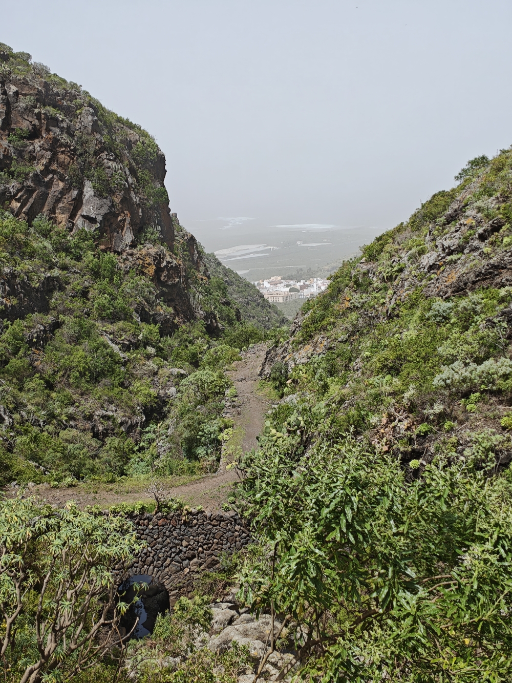 Wanderung Cuevas Negras und Monte del Agua: Traumhafte alte Wege