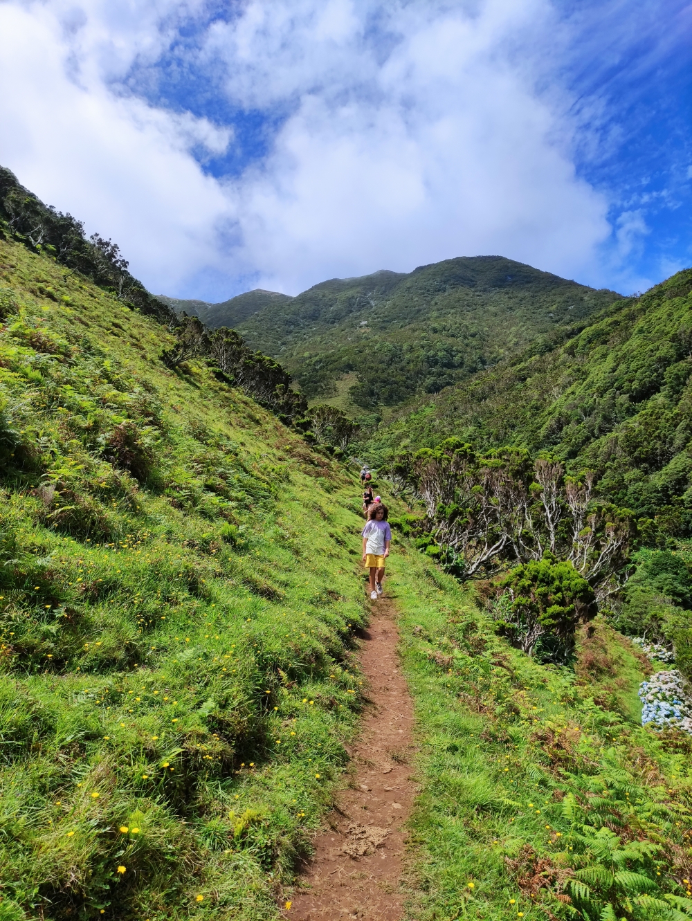 Wanderung Faja da Caldeira do Santo Cristo: Kurz vor Faja da Caldeira de Cima