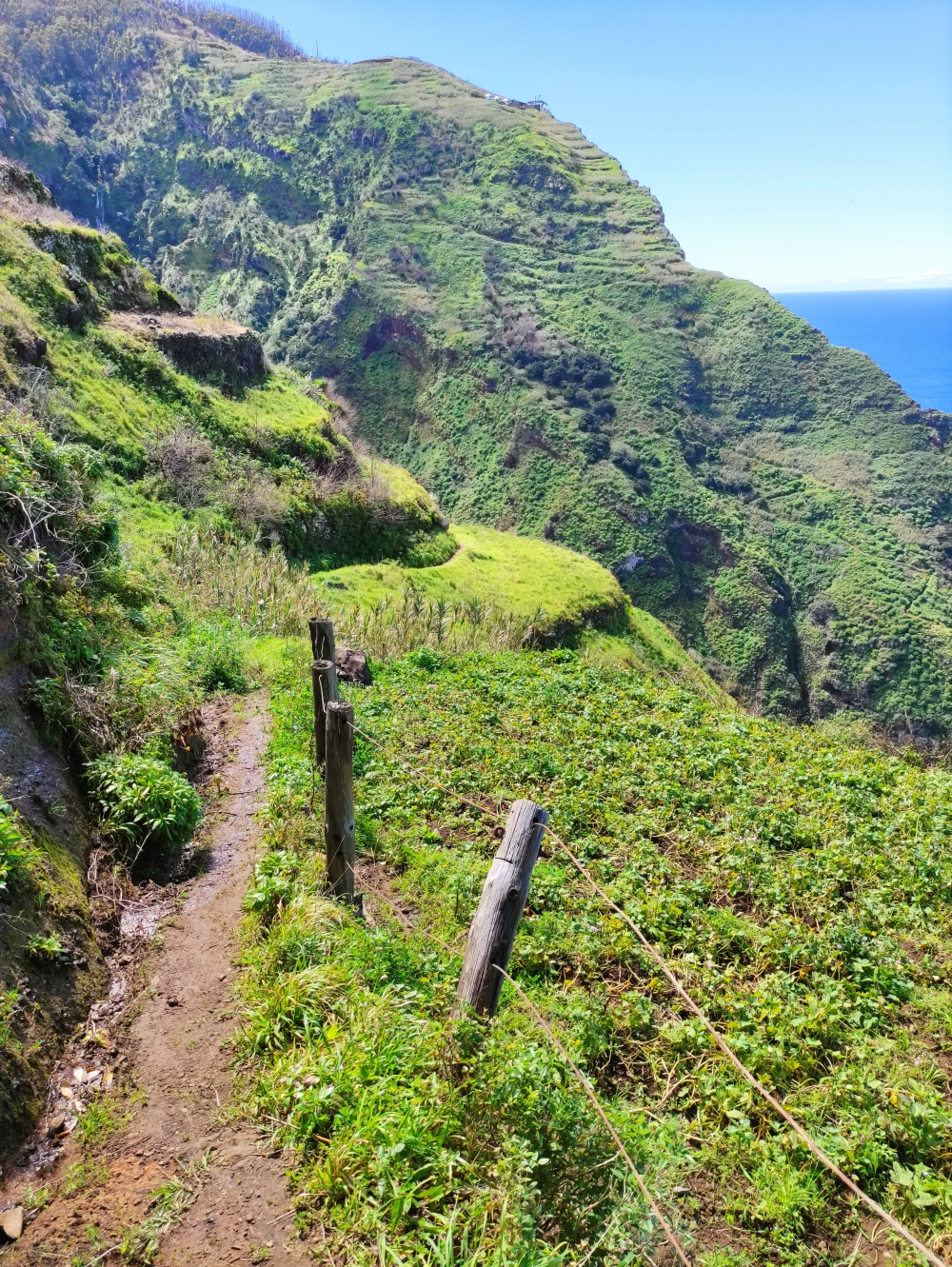 Wanderung Faja da Quebrada Nova: Abstieg zwischen den Feldern
