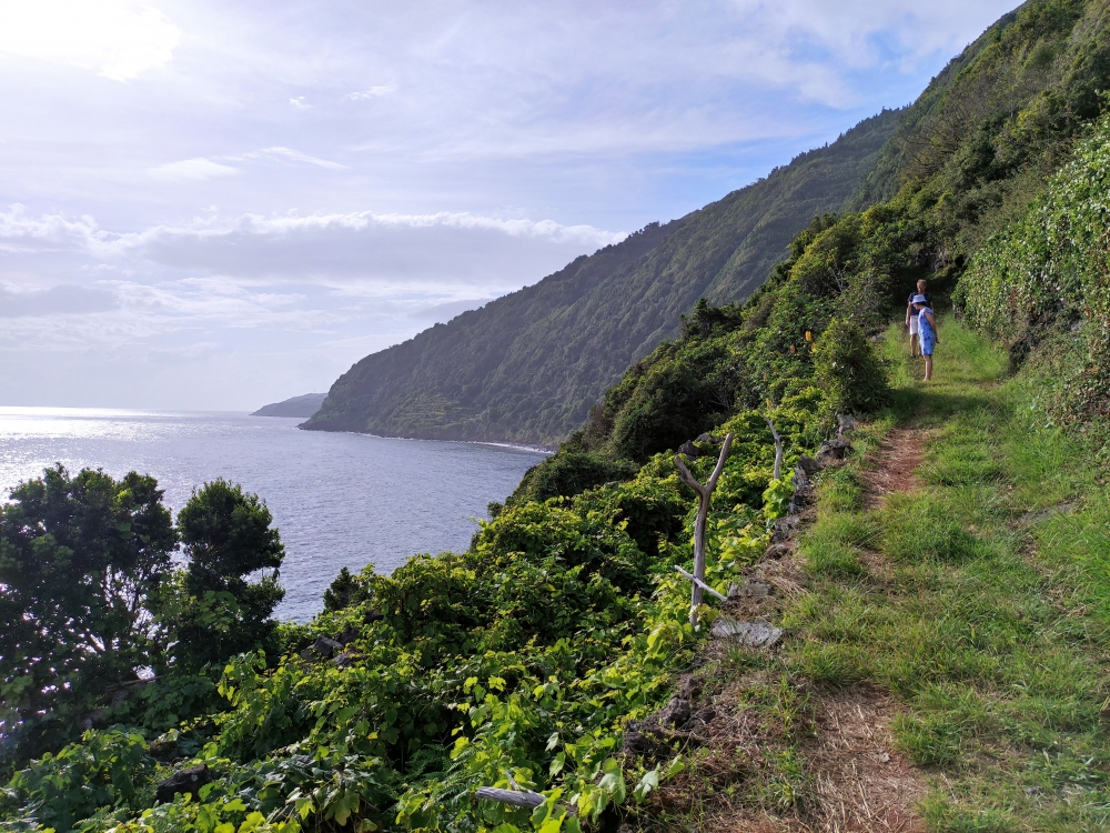 Wanderung Faja dos Vimes: Weg