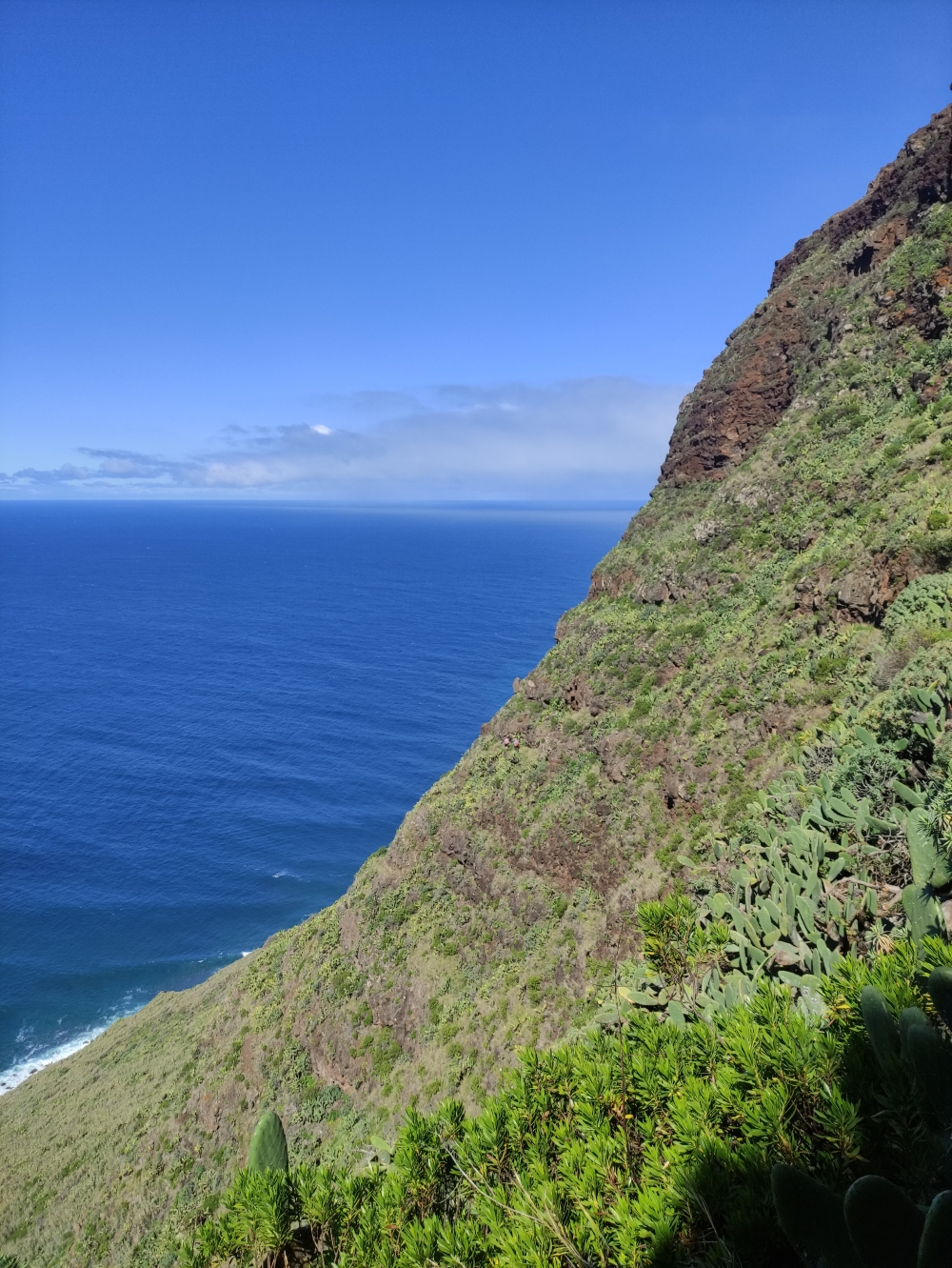 Wanderung Faja Grande Ponta do Pargo: Der Weg führt durch den Kakteen-Steilhang (zwei Wanderer in der Bildmitte)