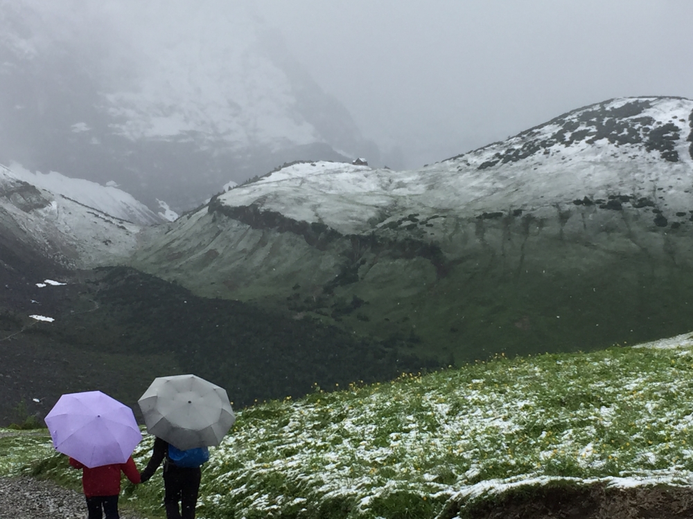 Wanderung Karwendelhaus zur Lamsenjochhütte: Wanderung Karwendelhaus zur Lamsenjochhütte: Blick vom Hohljoch auf die Falkenhütte