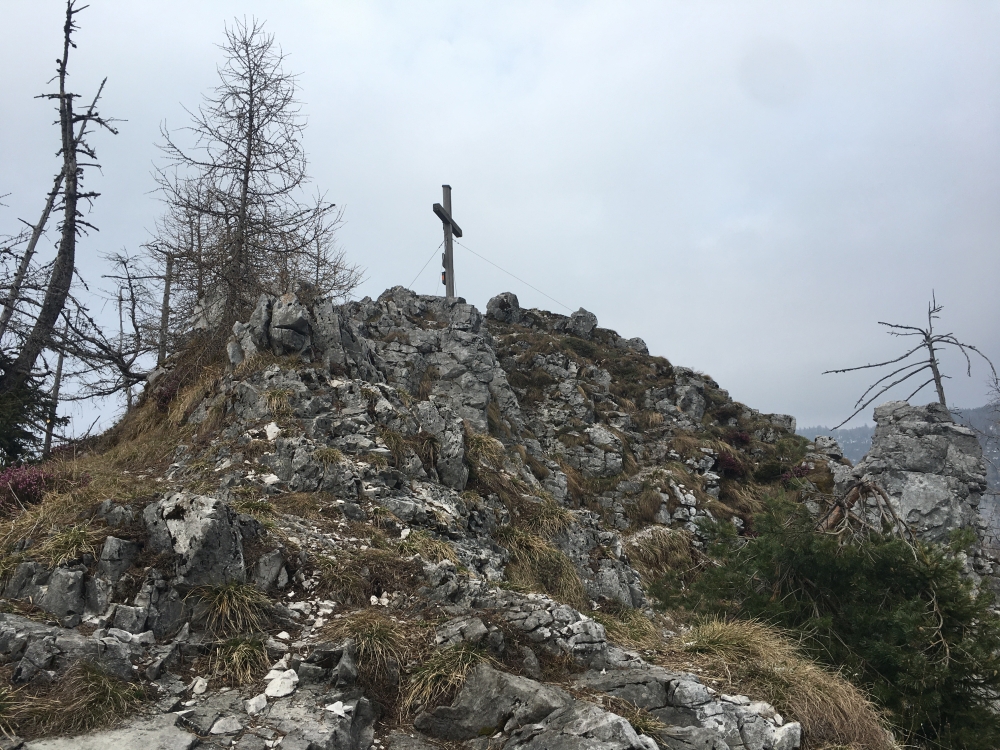 Wanderung Falkenstein: Wanderung Falkenstein: Die letzten Meter zum Gipfel (Falkenstein)