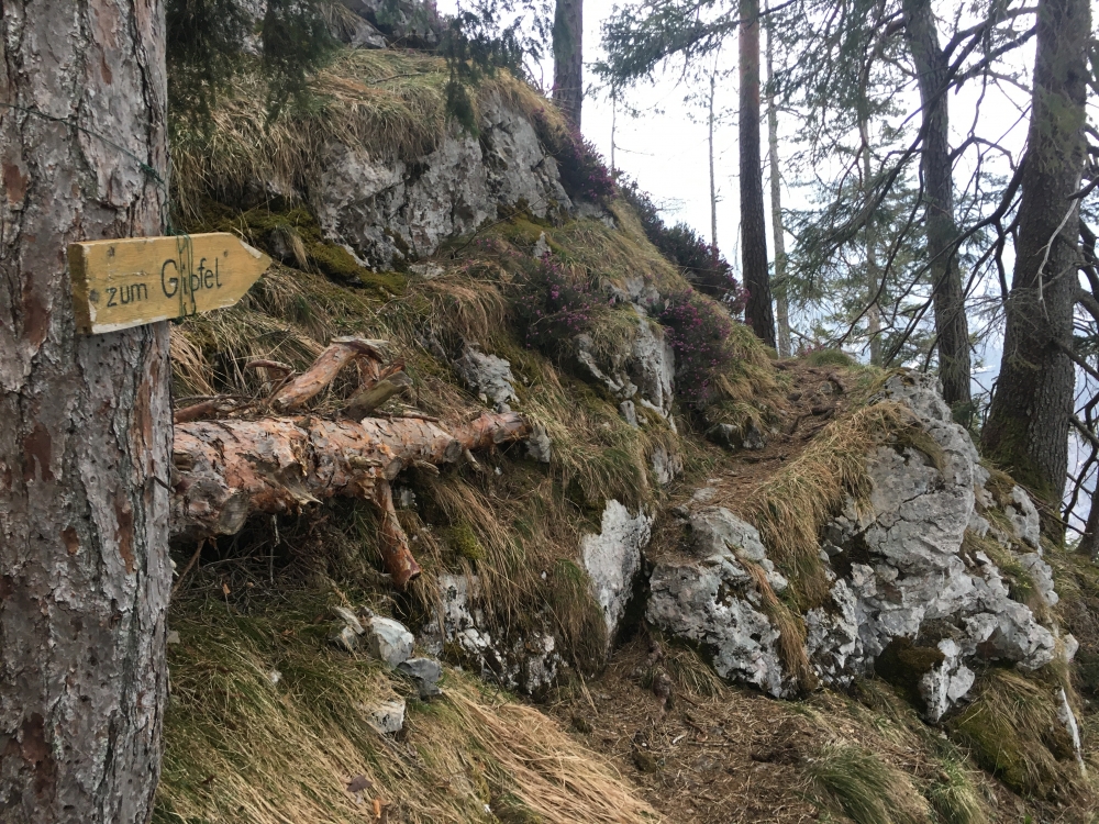 Wanderung Falkenstein: Da lang "zum Gipfel"