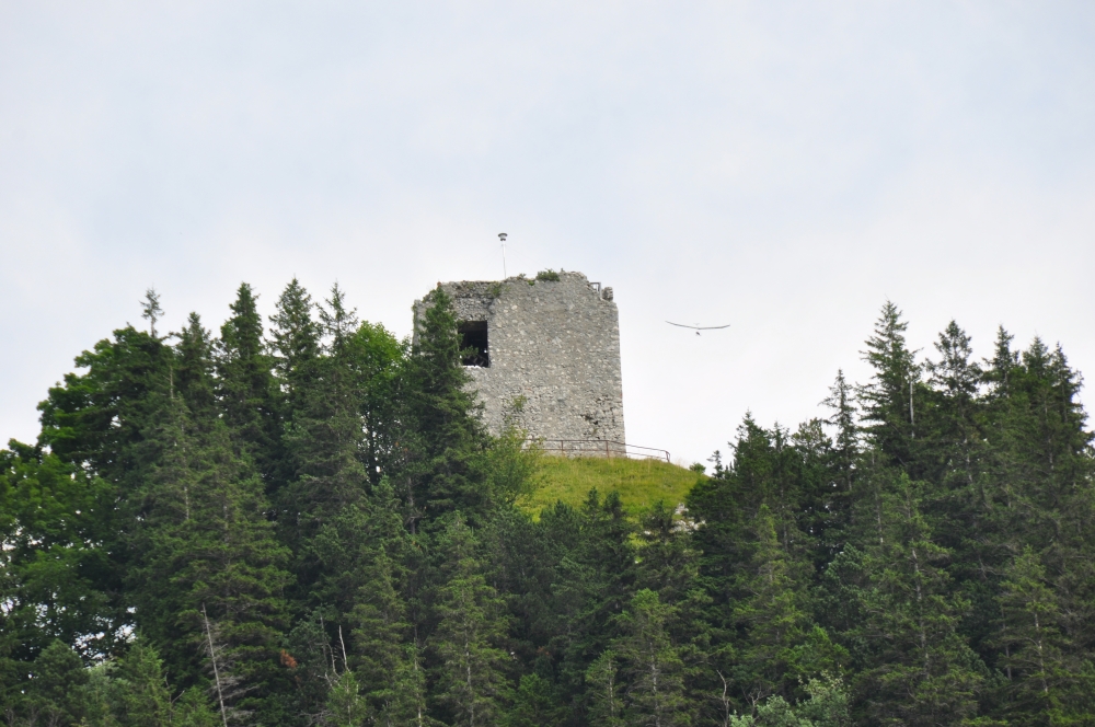 Wanderung Ruine Falkenstein: Wanderung Ruine Falkenstein: Die Ruine der Burg Falkenstein (Ruine Falkenstein)