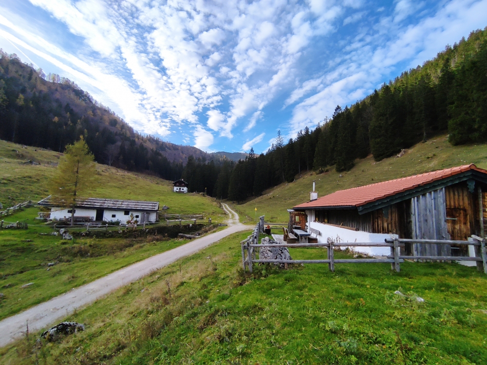 Wanderung Hochfelln über Strohnschneid: Wanderung Hochfelln über Strohnschneid: Farnbödenalm