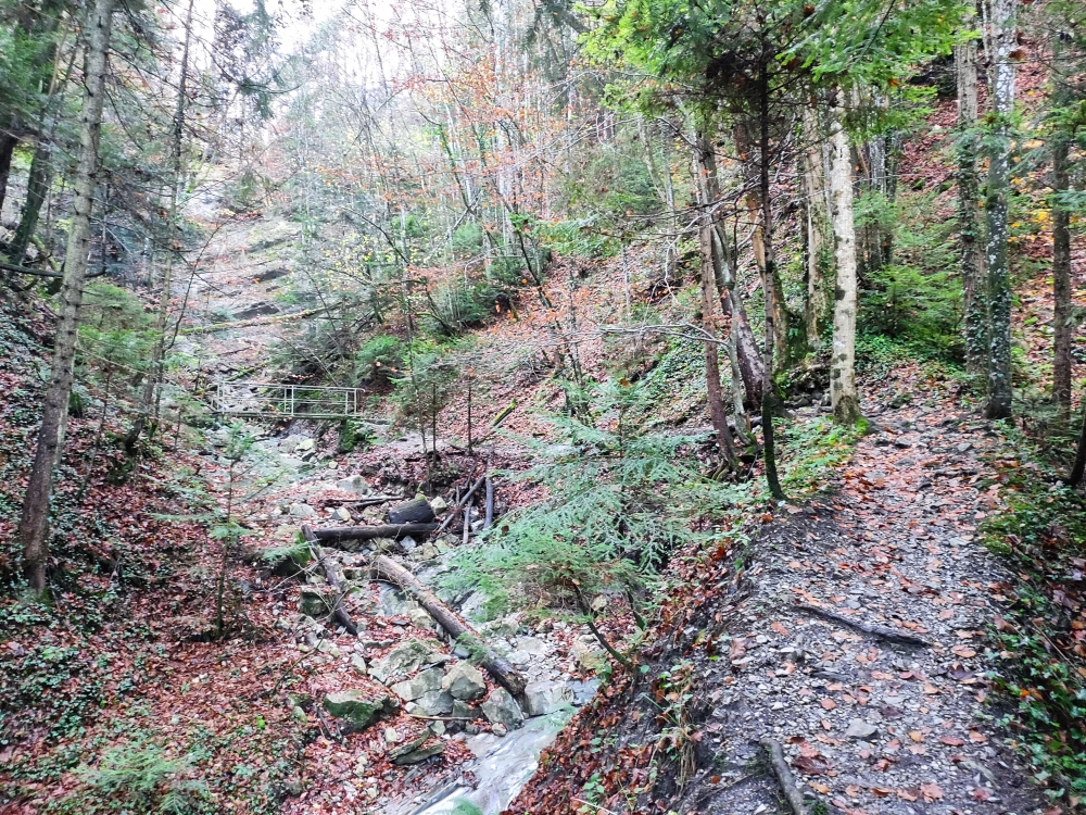 Wanderung Farrenpoint: Brücke