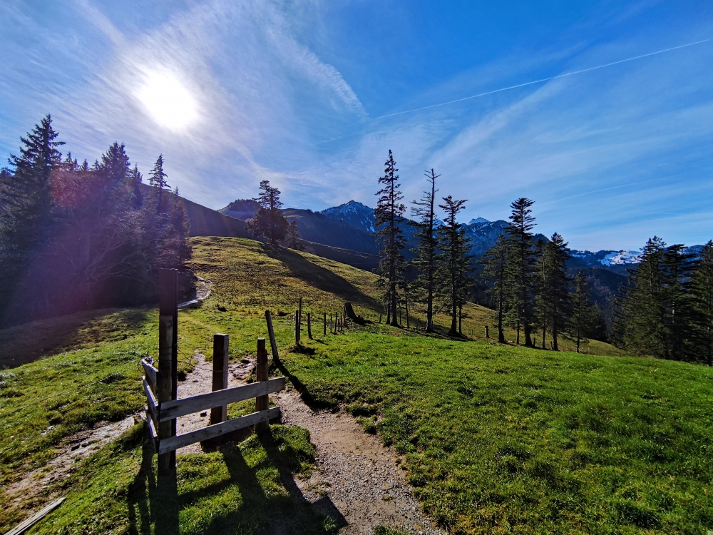 Wanderung Farrenpoint: Sattel zwischen Mitterberg und Farrenpoint