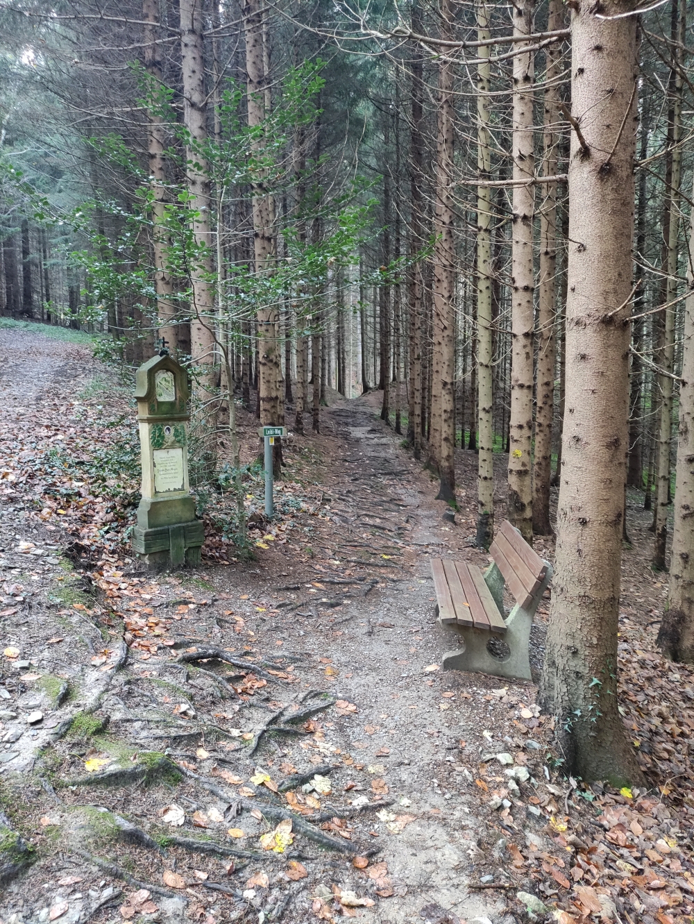 Wanderung Farrenpoint: Gedenktafel Johann Baptist Mayer von 1919 am Wilhelm-Leibl-Weg