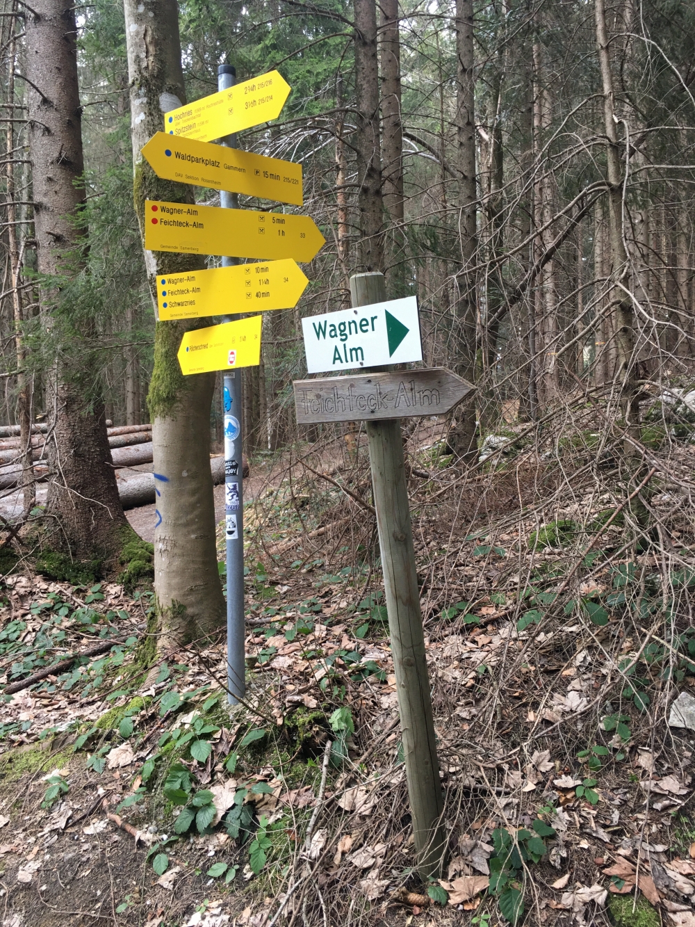Wanderung Feichteck: Hier links auf den direkten Weg zur Wagneralm (rechts alternativ über die Forststraße)