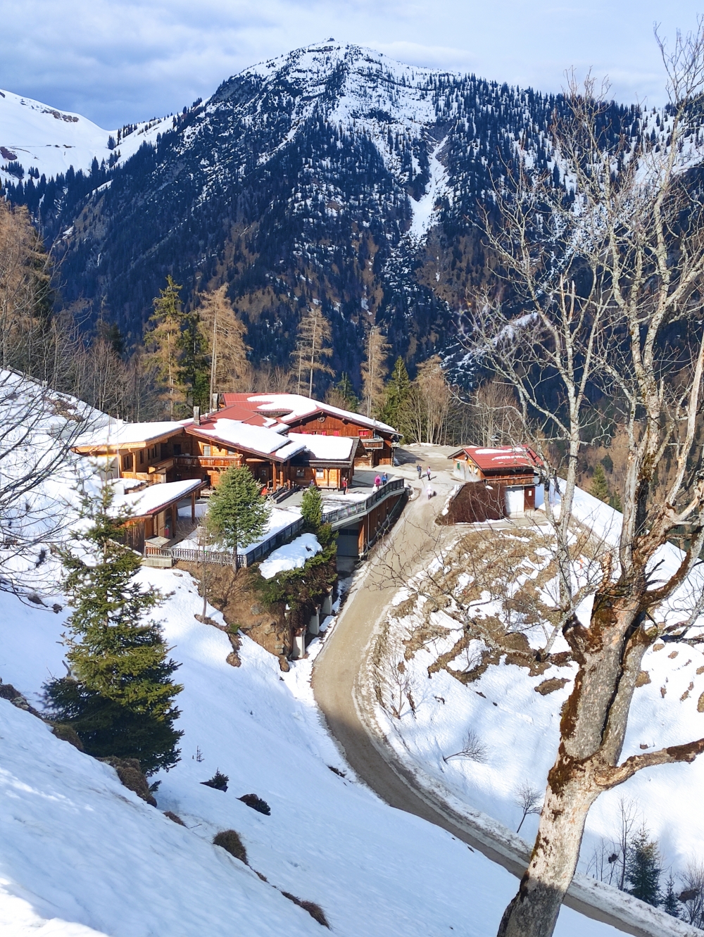 Wanderung Gütenbergkopf: Wanderung Gütenbergkopf: Feilalm