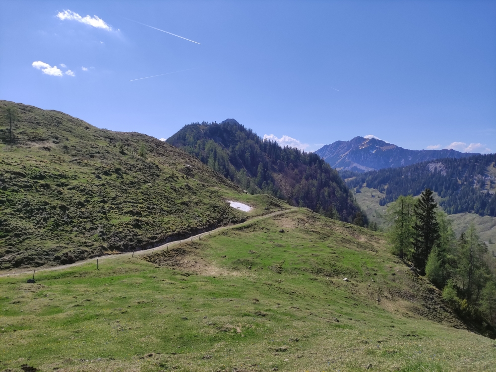 Wanderung Feldberg: Weg