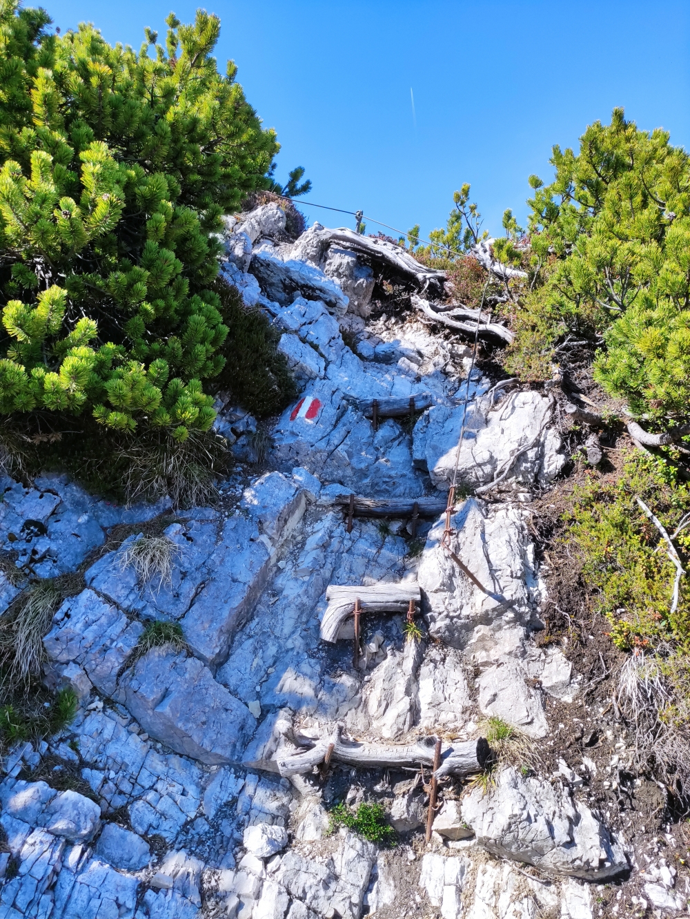 Wanderung Feldberg: Kurze Stelle mit Seilsicherung