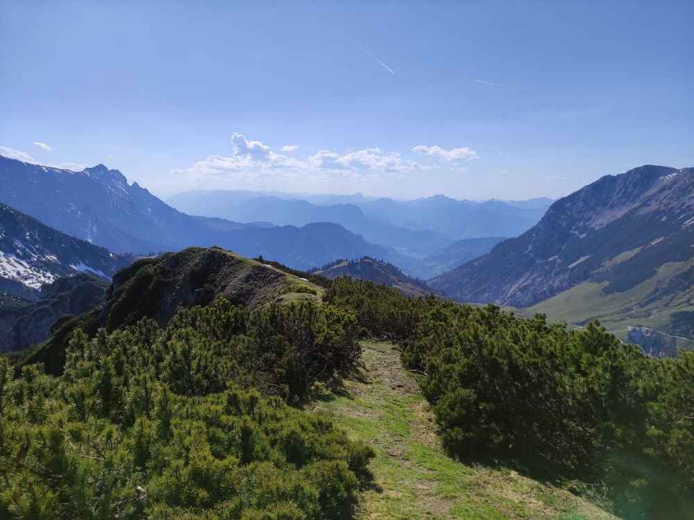 Wanderung Stripsenkopf: Weg