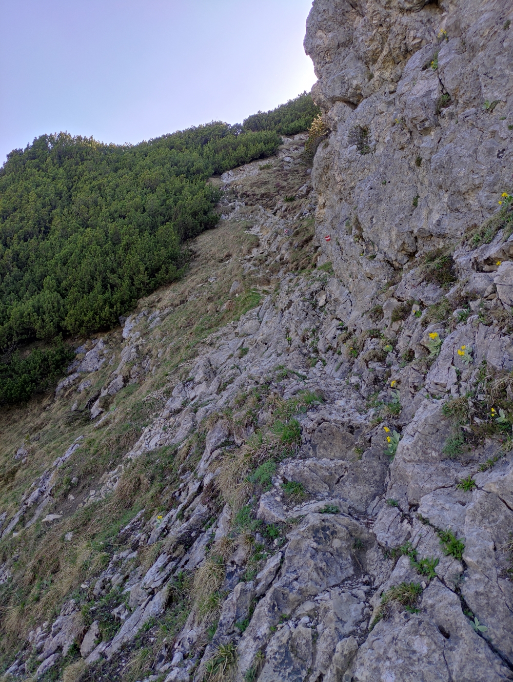 Wanderung Stripsenkopf: Zum Gipfelpavillon