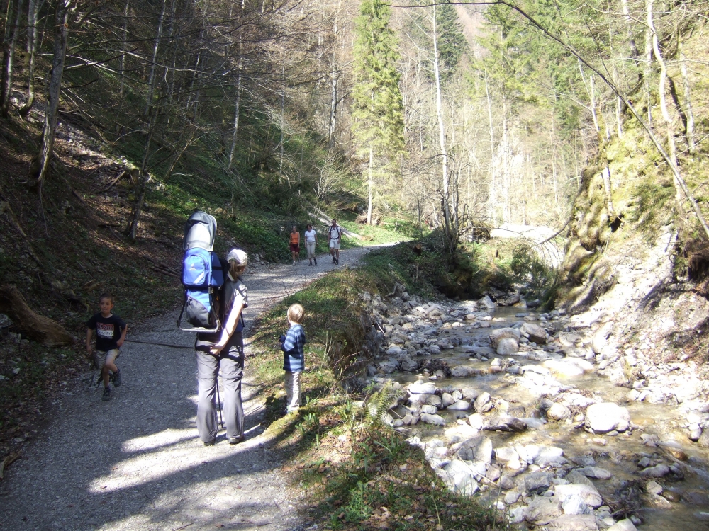 Wanderung Feldlahnalm: Am Bach entlang