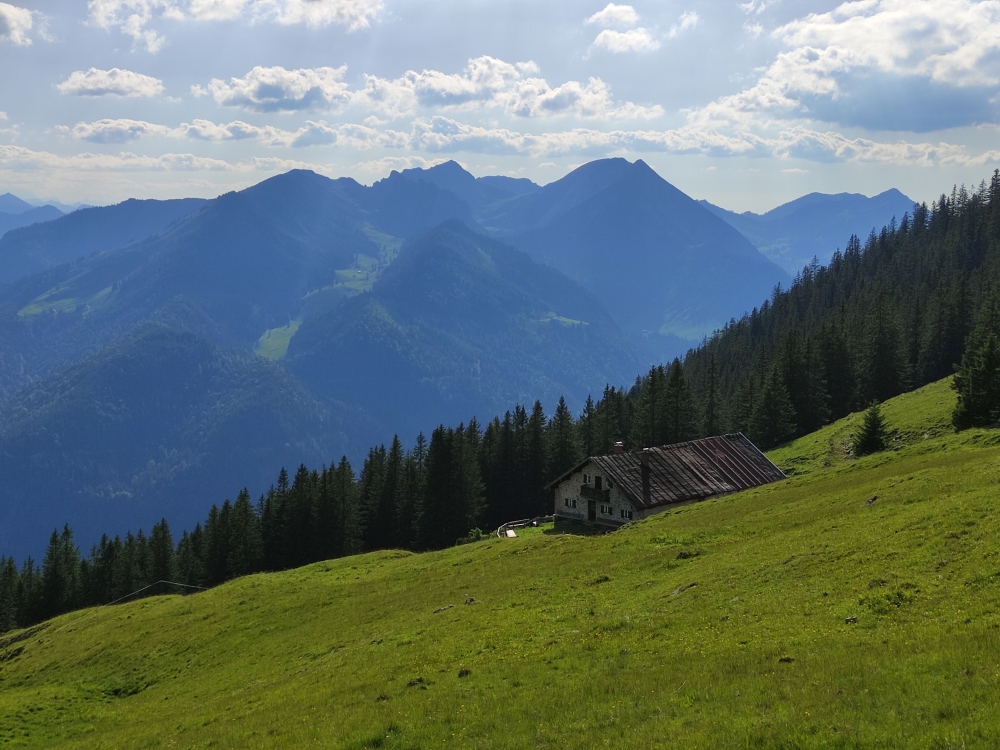 Fellalm: Fellalm