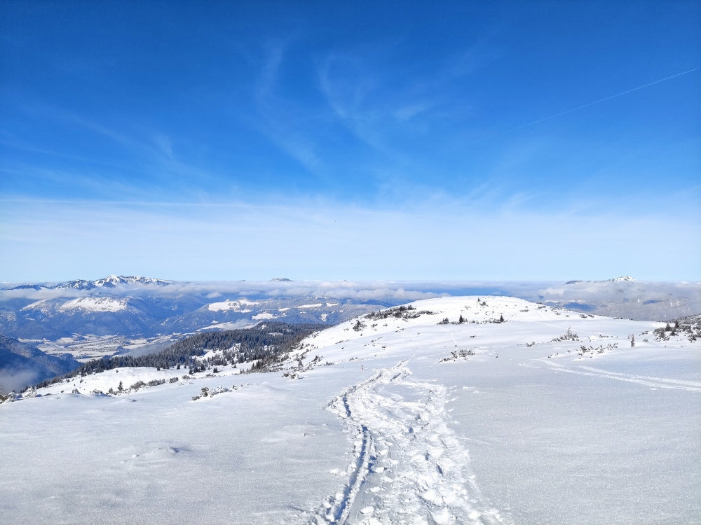 Wanderung Fellhorn: Blick vom Gipfel