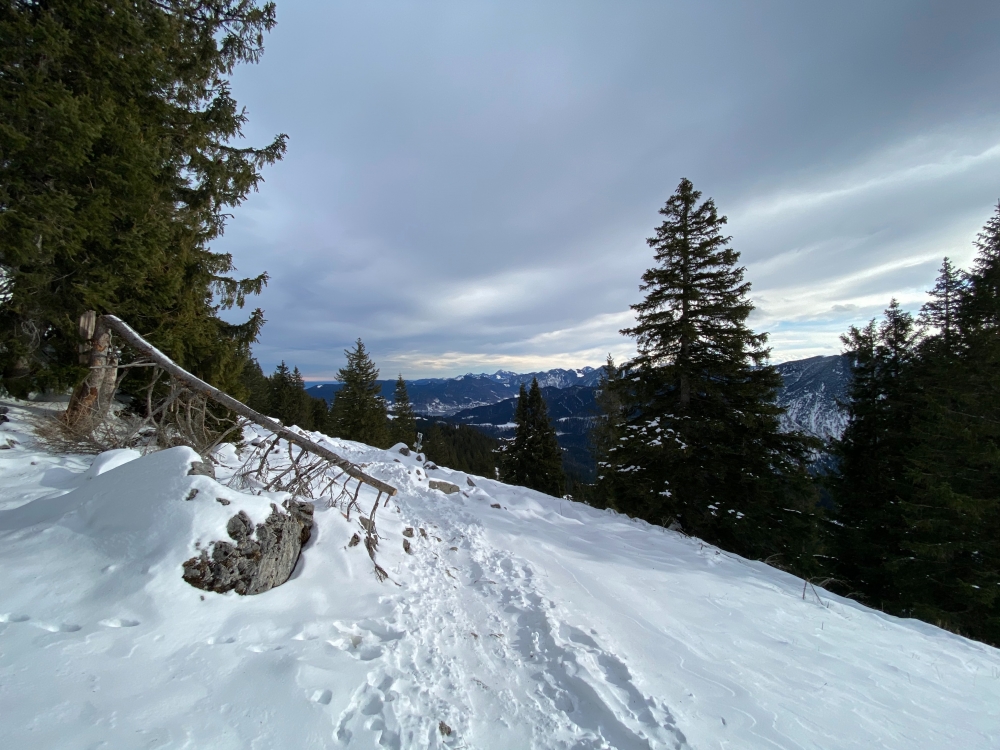 Rodeln Fockenstein Winter: Rodeln Fockenstein Winter: Blick kurz vorm Gipfel Richtung Südost (Fockenstein)