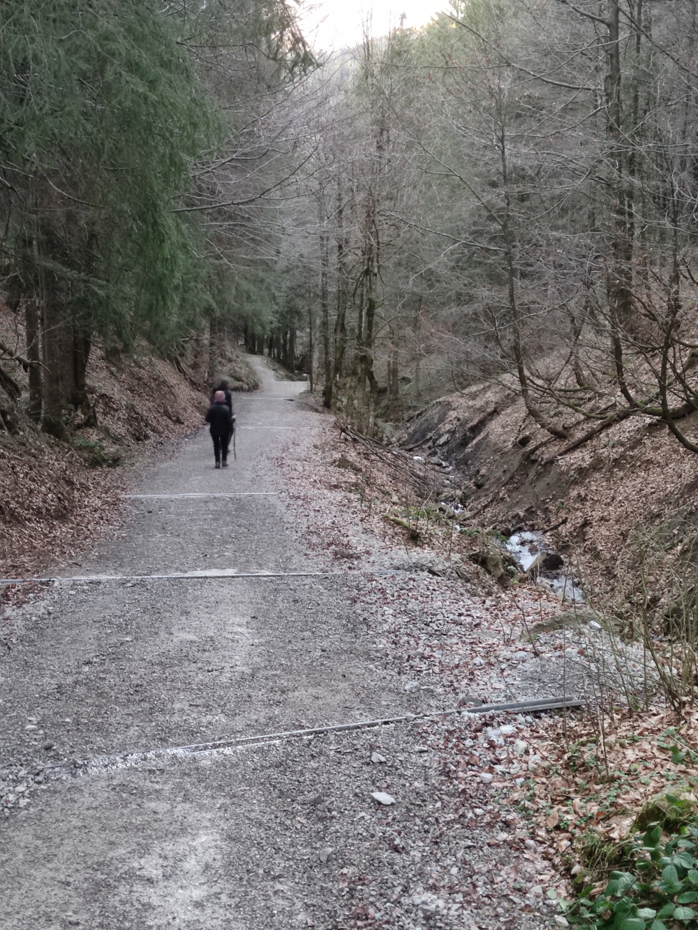 Wanderung Fockenstein: Zeiselbachtal