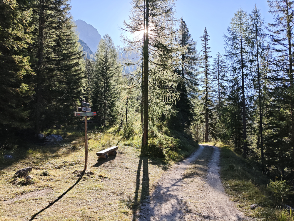Klettersteig Ivano Dibona: Forststraße im Val Padeon beim Abzweig zum Aufstieg zum Klettersteig