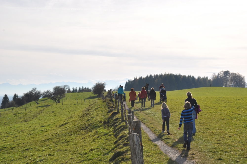 Wanderung Forsthaus Ilkahöhe: Von der Ilkahöhe zum Forsthaus