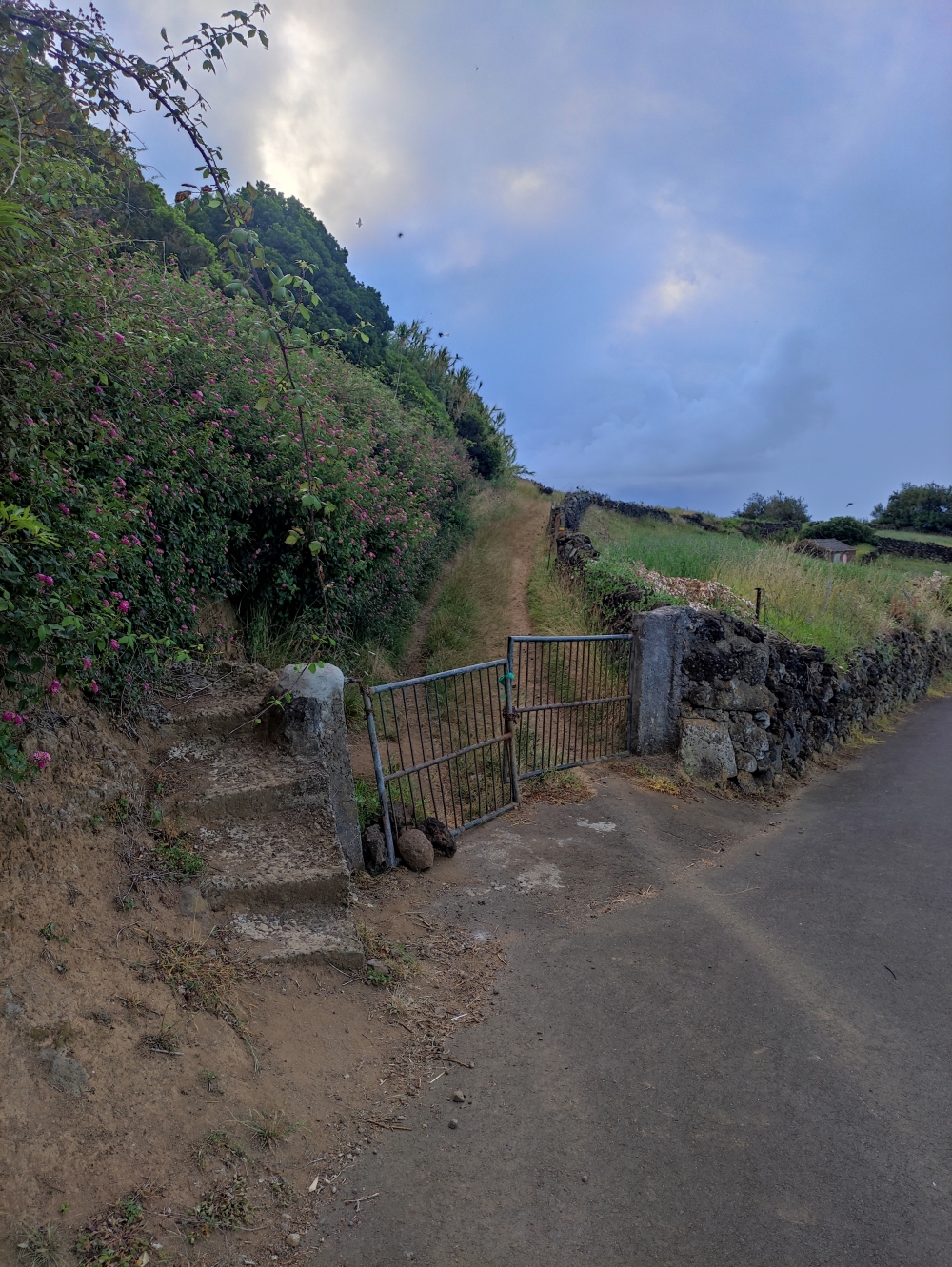 Wanderung Forte do Bom Jesus: Hier zweigt der Weg von der Teerstraße ab 