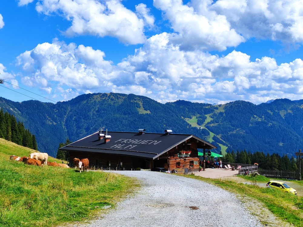 Wanderung Saukarfunktel: Wanderung Saukarfunktel: Frauenalm