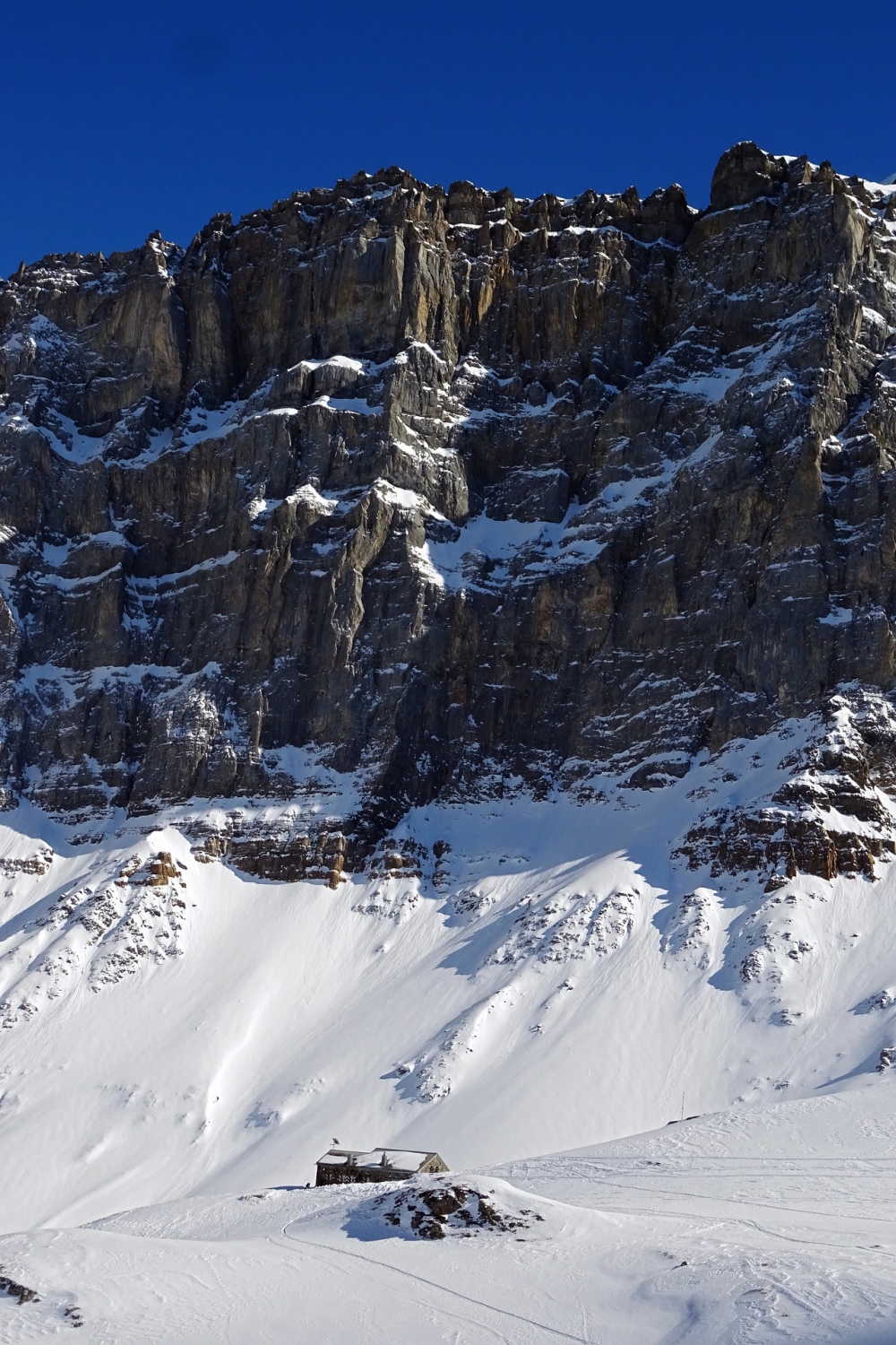 Fridolinshütte -> Grünhornhütte: Fridolinshütte