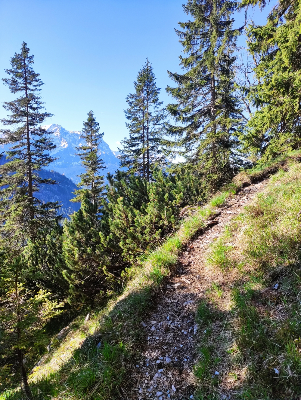 Wanderung Frieder: Ostaufstieg mit Zugspitzblick
