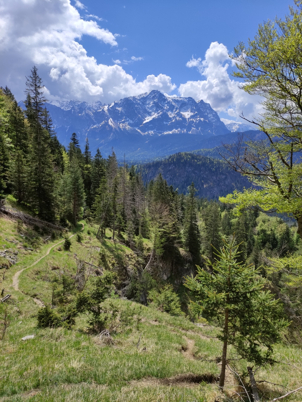 Wanderung Frieder: Abstieg mit Zugspitzblick
