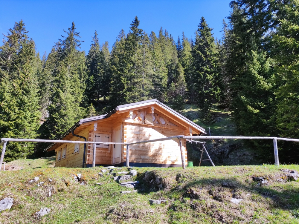 Wanderung Frieder: Wanderung Frieder: Frieder-Alm (Friederalm)