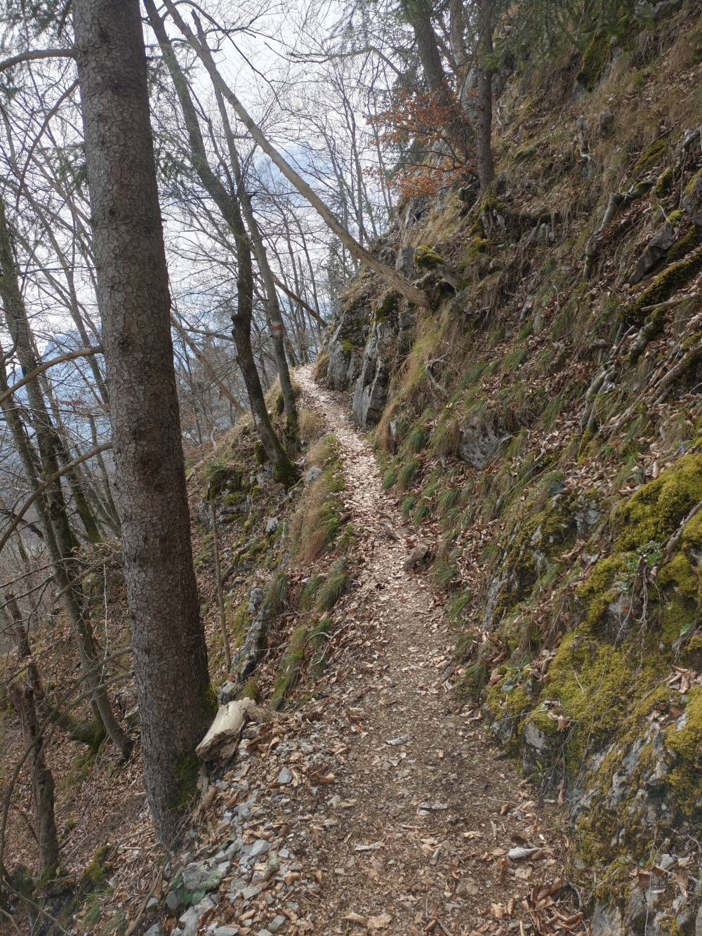 Wanderung Fuderheustein: Schöner aber schmaler Steig